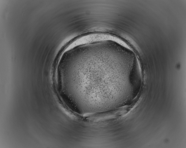 X0000094231026200711241740