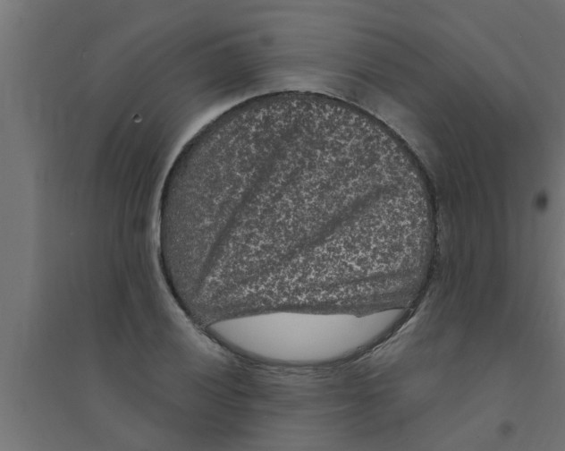 X0000094231028200711241740