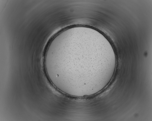 X0000094231029200711241740