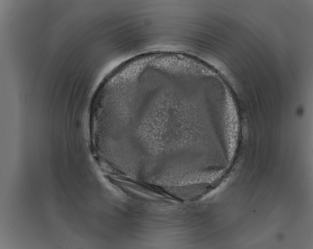 X0000094231030200711241740