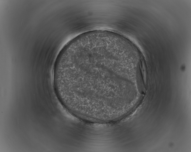 X0000094231032200711241740