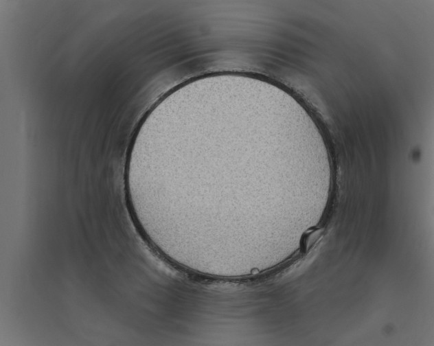 X0000094231033200711241740