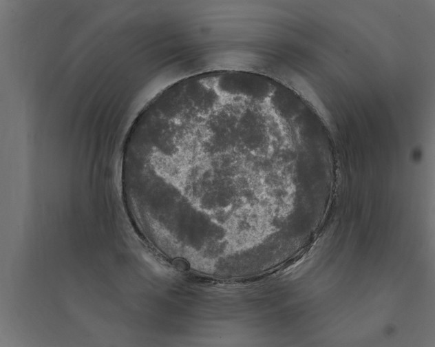 X0000094231035200711241740