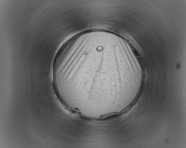 X0000094231036200711241740
