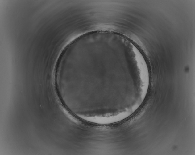 X0000094231037200711241740
