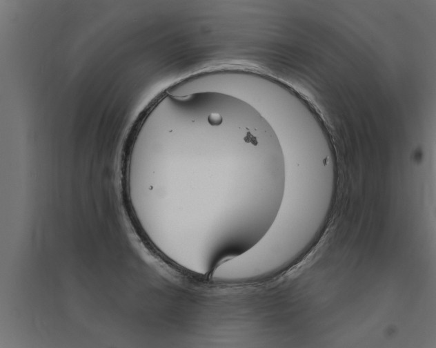 X0000094231038200711241740