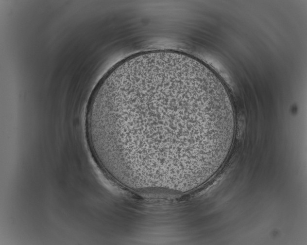 X0000094231039200711241740