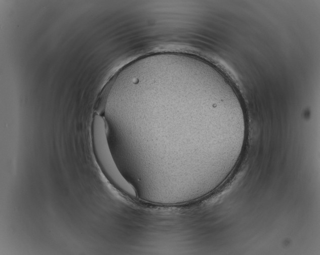 X0000094231041200711241740