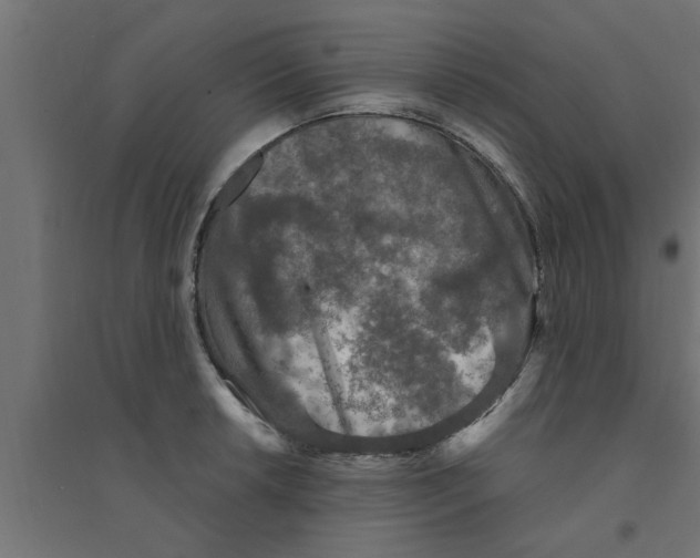 X0000094231042200711241740