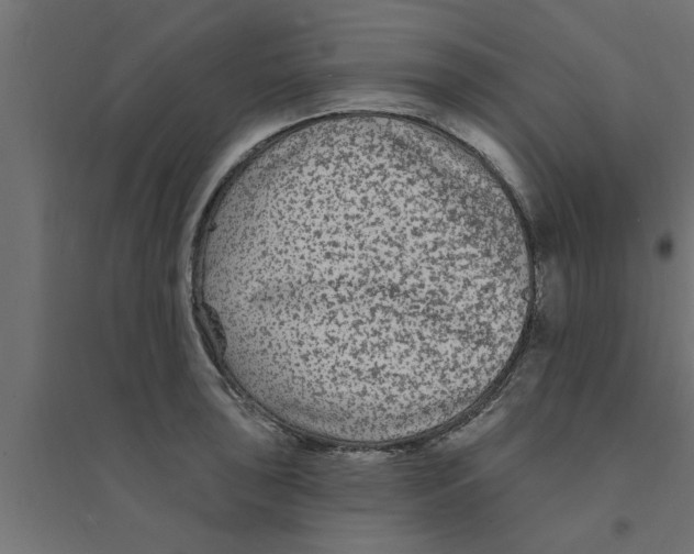 X0000094231043200711241740