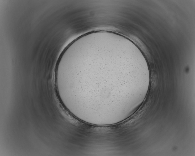 X0000094231044200711241740