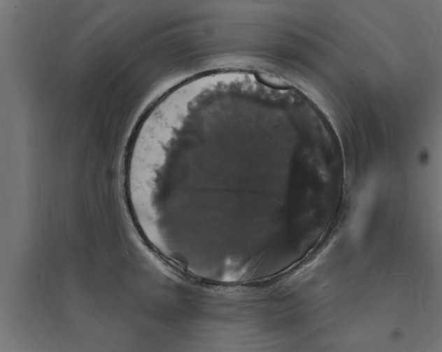 X0000094231045200711241740