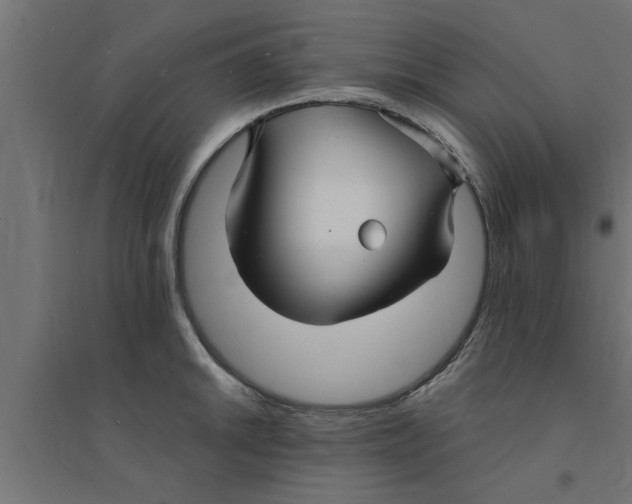 X0000094231046200711241740