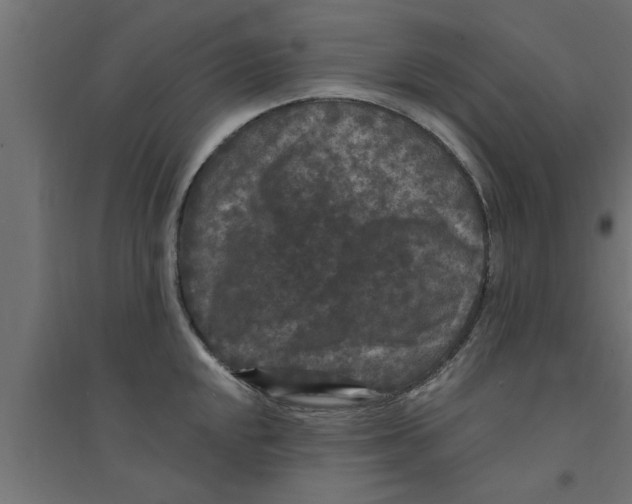 X0000094231048200711241740