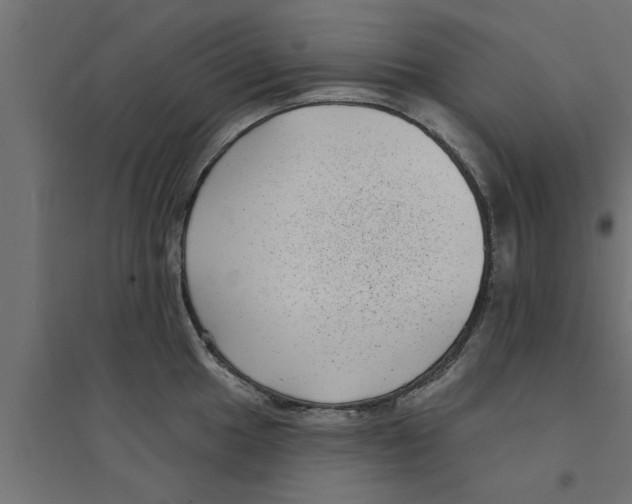 X0000094231049200711241740