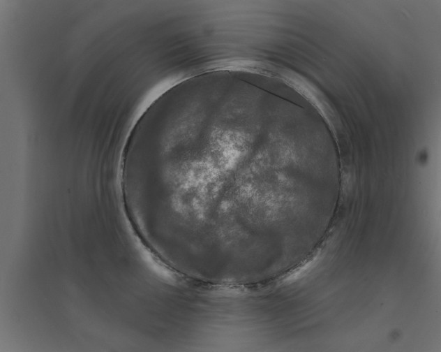 X0000094231050200711241740