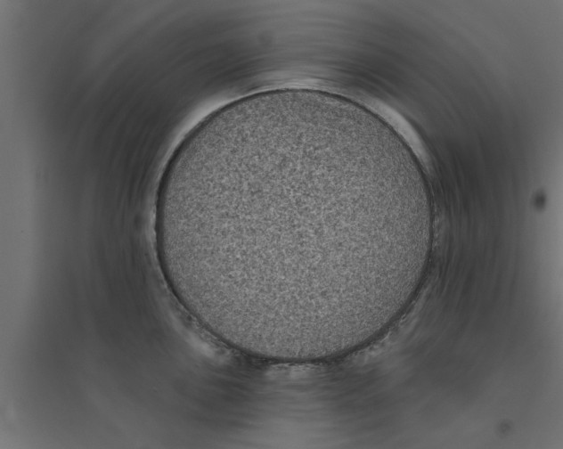 X0000094231051200711241740
