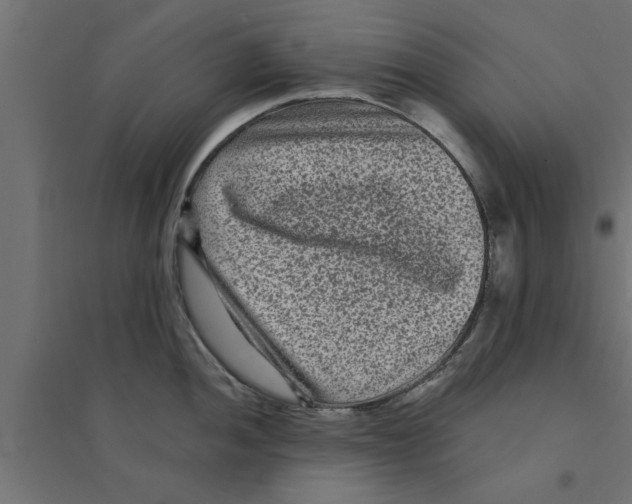 X0000094231052200711241740