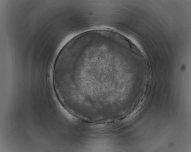 X0000094231054200711241740