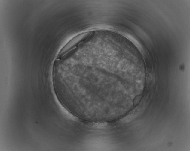 X0000094231055200711241740
