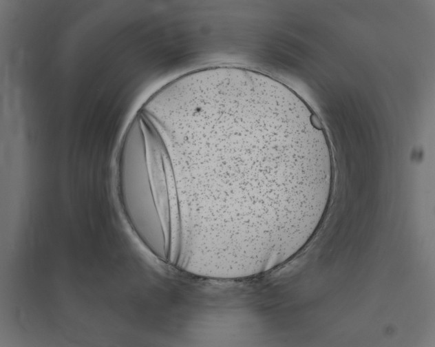 X0000094231056200711241740