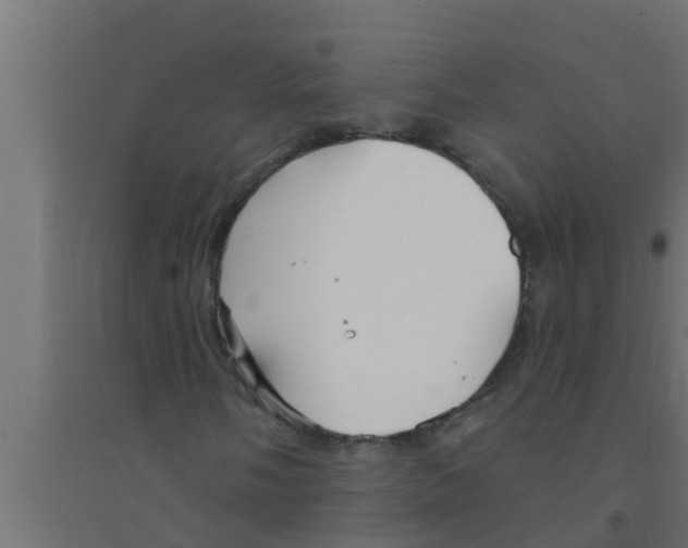 X0000094231058200711241740