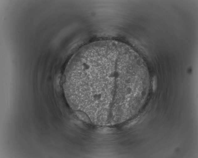 X0000094231059200711241739