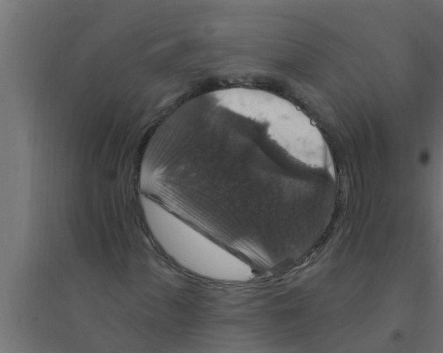 X0000094231060200711241739