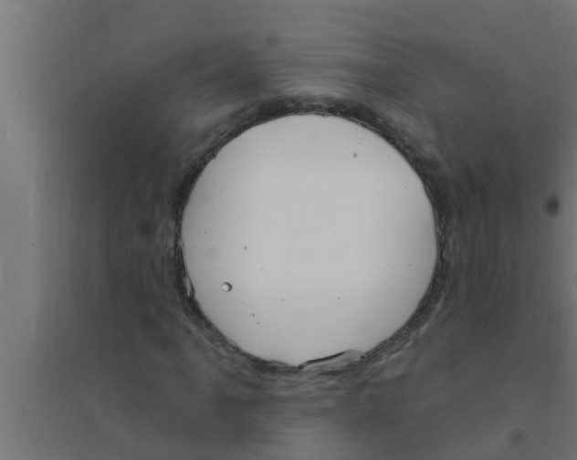 X0000094231061200711241739
