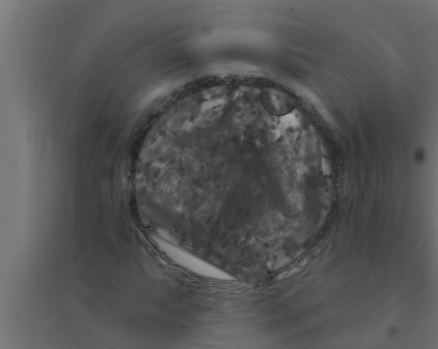 X0000094231063200711241739