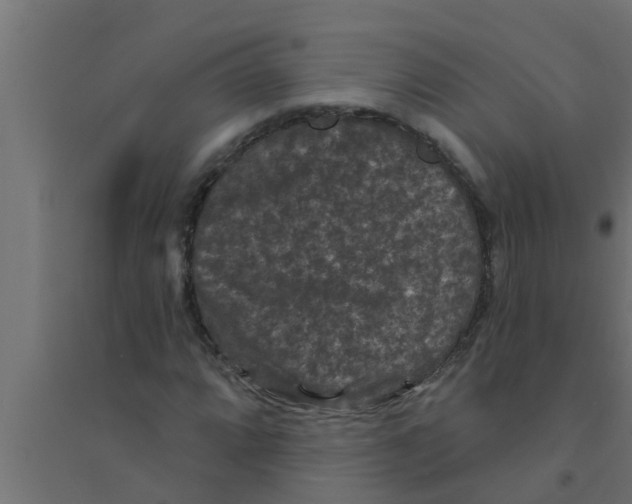 X0000094231064200711241739