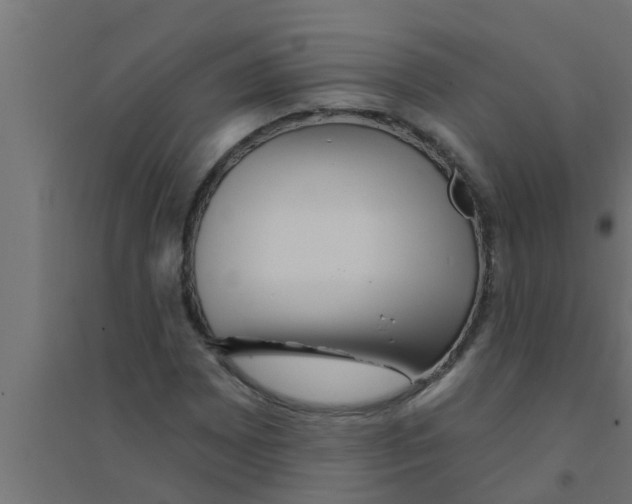 X0000094231065200711241739