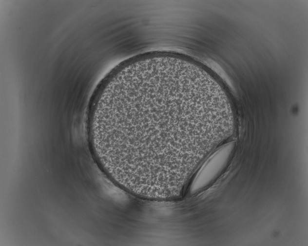 X0000094231068200711241739
