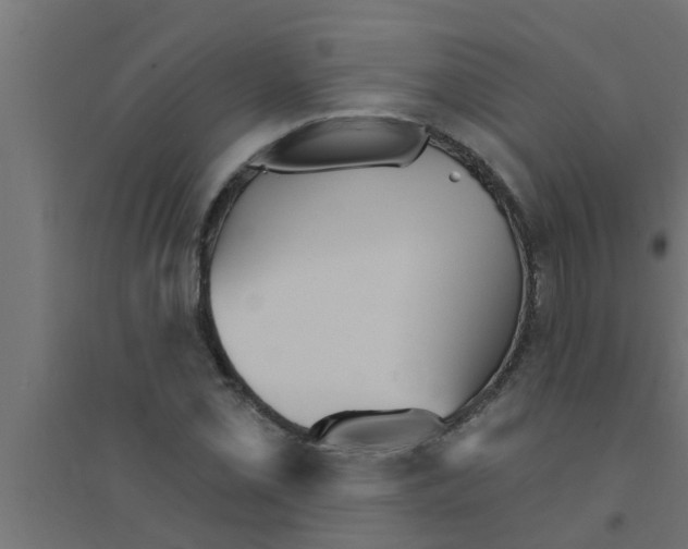 X0000094231069200711241739