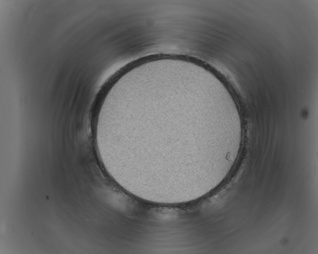 X0000094231070200711241739