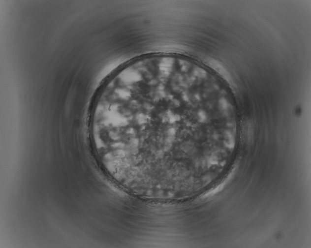 X0000094231071200711241739