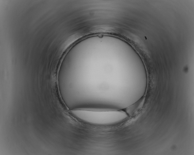 X0000094231073200711241739