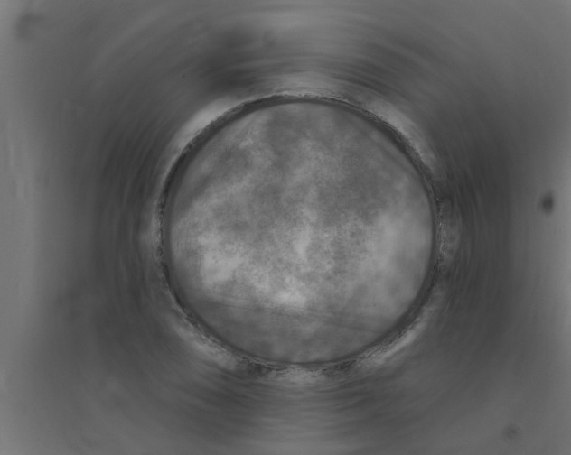 X0000094231074200711241739