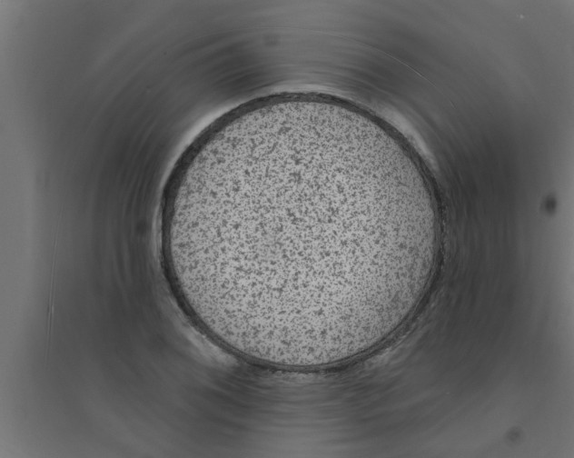 X0000094231076200711241739