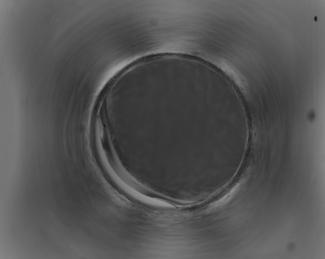 X0000094231077200711241739