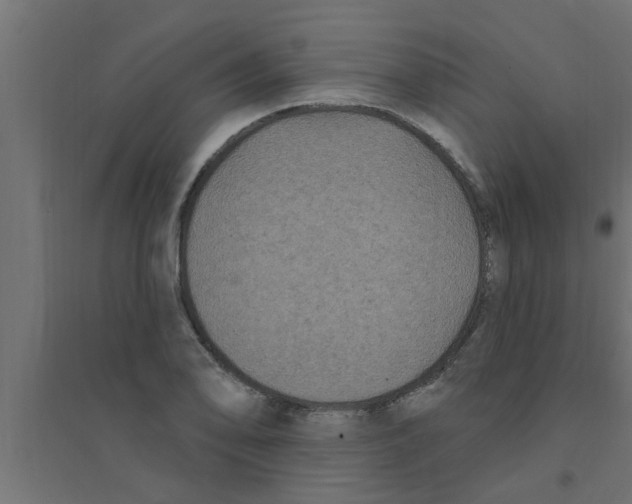 X0000094231078200711241739