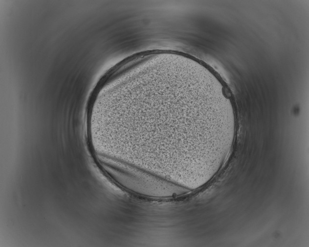 X0000094231080200711241739