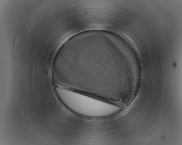 X0000094231081200711241739