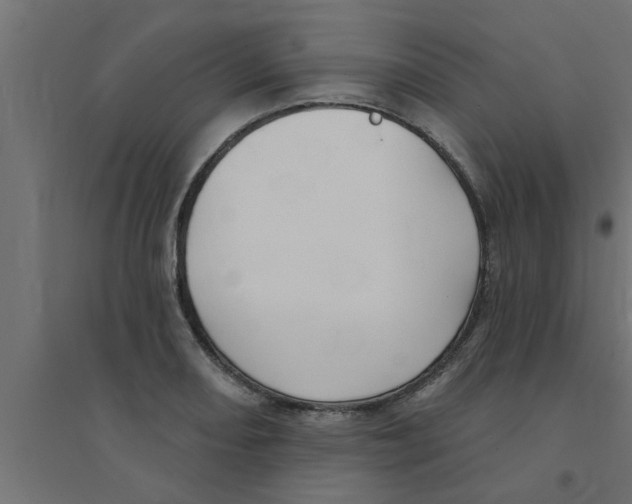 X0000094231082200711241739