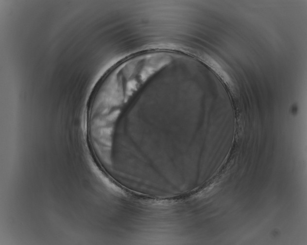 X0000094231084200711241739