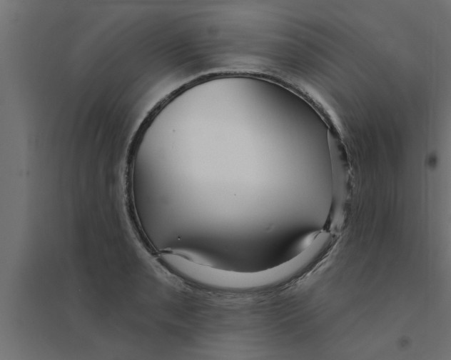X0000094231085200711241739