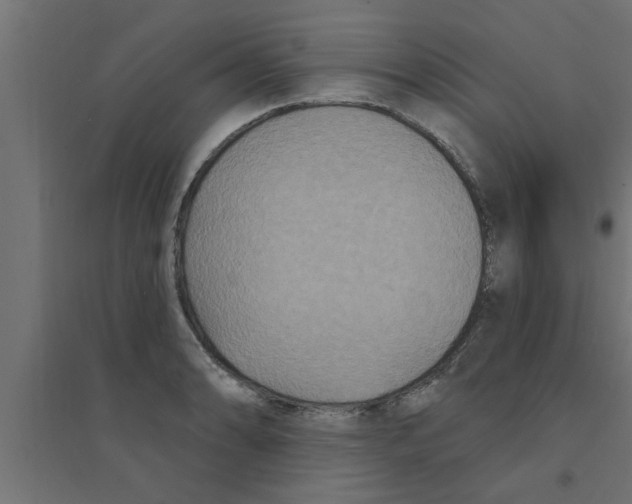 X0000094231086200711241739