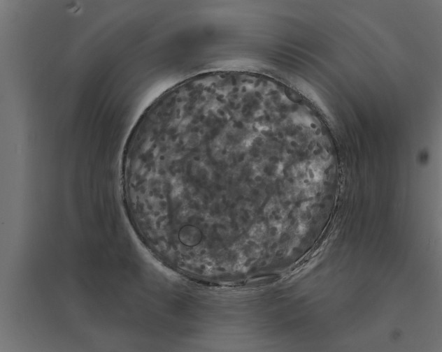 X0000094231087200711241739