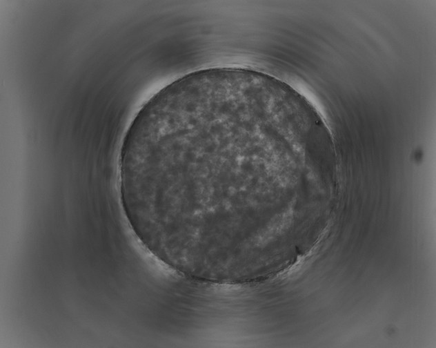 X0000094231088200711241739