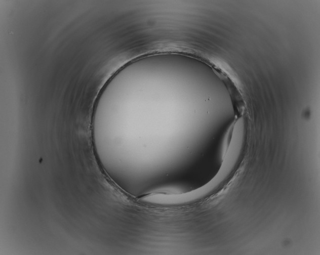 X0000094231089200711241739